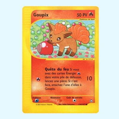 Goupix 116 Aquapolis