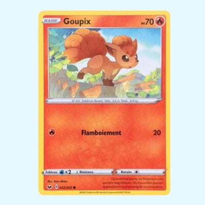 Goupix 22 Epee et Bouclier