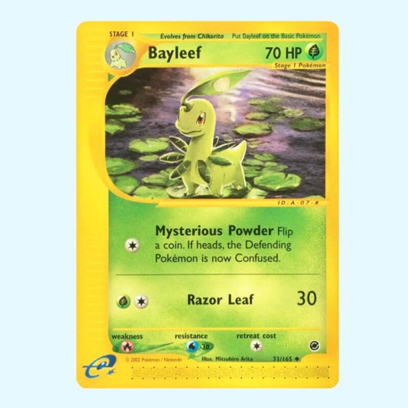 Bayleef 71 Expedition