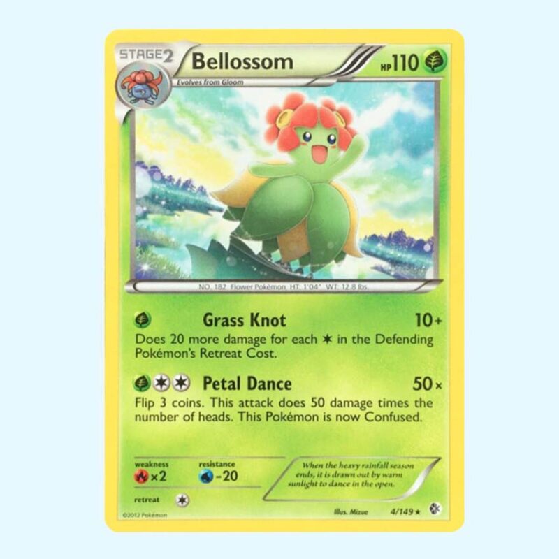 Bellossom 4 Boundaries