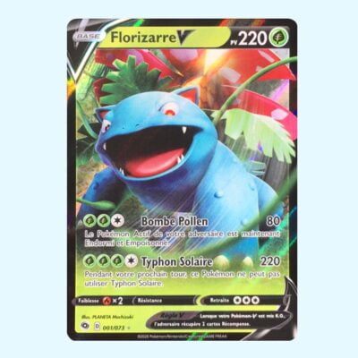 Florizarre V 1 La Voie du Maitre