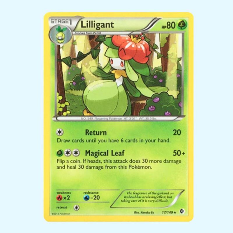 Lilligant 17 Boundaries Crossed