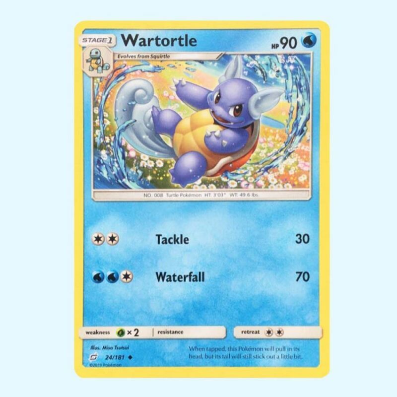 Wartortle 24 Team Up